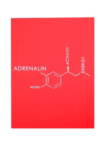 Записная книжка А6 80л лин. 