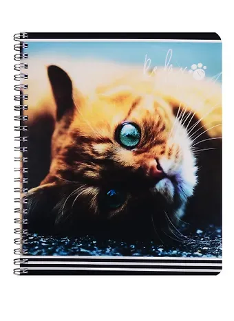 Тетрадь в клетку Academy Style, 