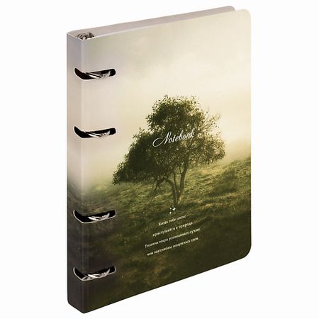 Тетрадь BRAUBERG Тетрадь на кольцах 120 листов Природа тетрадь brauberg тетрадь на кольцах 120 листов гранат