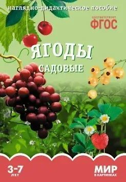 Т. Минишева ФГОС Мир в картинках. Ягоды садовые.