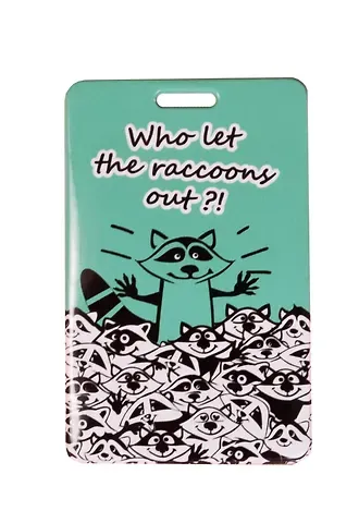 Чехол для карточек Who let the Raccoons out ДК2017-094