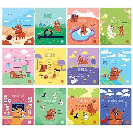 Тетрадь BRAUBERG Тетради предметные комплект DOG пустые стеклянные предметные стекла huiley 25x76 мм