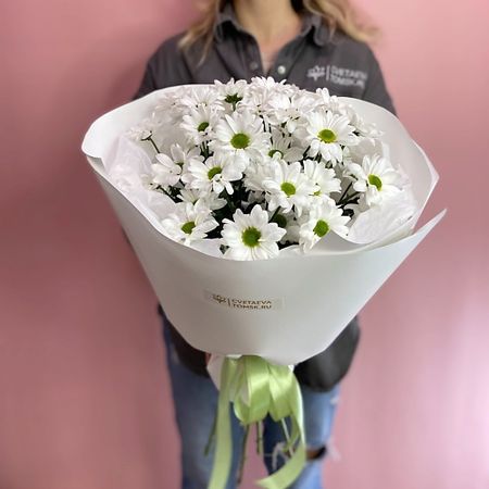 Букет живых цветов CVETAEVA TOMSK.RU Букет из 5 кустовых хризантем 