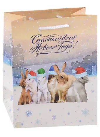 Пакет А5 22*18*10 