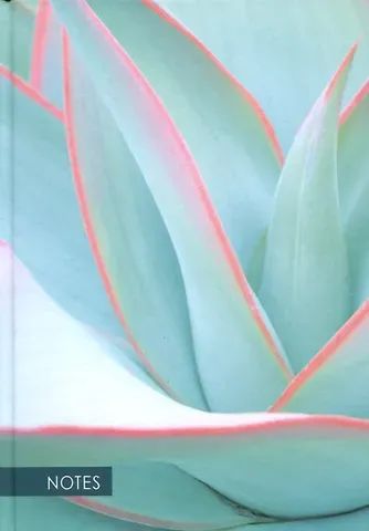 Книга для записей А5 100л кл. 