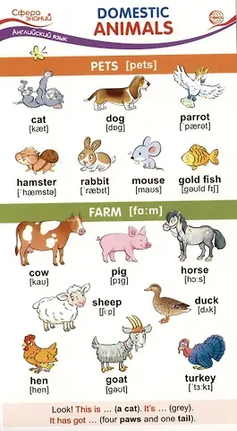 Карточка-шпаргалка. Domestic Animals (Домашние животные)