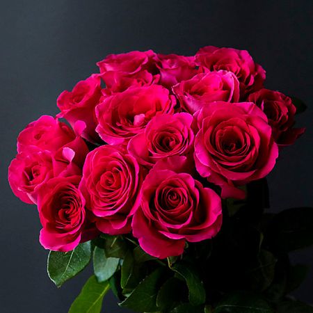 Букет живых цветов KLUMBATOMSKRU Букет из 15 ярко-розовых роз букет живых ов 4 сезона монобукет из 15 ярко розовых роз