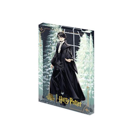 Мягкая игрушка POP MART Игрушка Harry Potter Ball Collection, Flowing Sand Acrylic Harry Potter