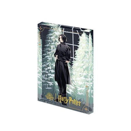 Мягкая игрушка POP MART Игрушка Harry Potter Ball Collection, Flowing Sand Acrylic Severus Snape