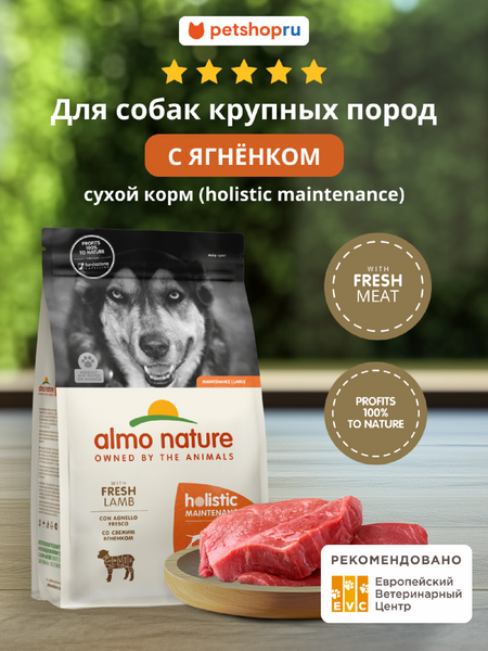 Холистики Almo Nature ALMO NATURE HOLISTIC Сухой корм для взрослых собак крупных пород со свежим ягненком, Life Maintenance, Large Breed, Fresh Lamb, 12 кг (12 кг)