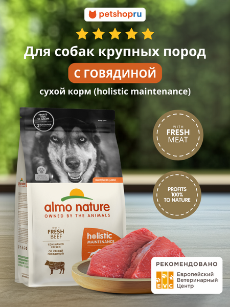 Холистики Almo Nature ALMO NATURE HOLISTIC Сухой корм для взрослых собак крупных пород со свежей говядиной, Life Maintenance, Large Breed, Fresh Beef, 12 кг (12 кг)