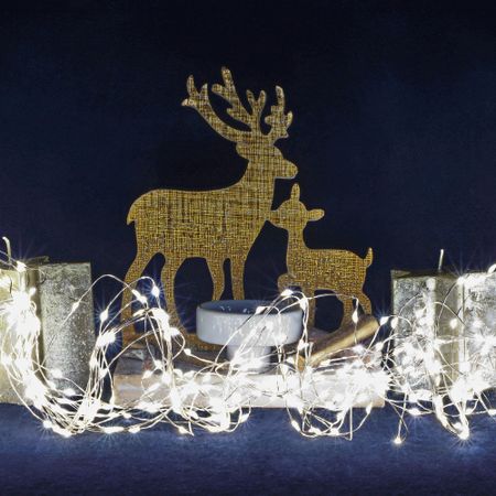 Гирлянда новогодняя уличная Lotti 38318 240 LED со стартовым шнуром