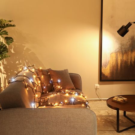 Гирлянда новогодняя уличная Lotti 120 maxiLEDs 1,5+10 м со стартовым шнуром