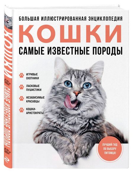 Кошки. Самые известные породы ярощук алина игоревна романова людмила владимировна самые известные породы кошки большая иллюстрированная энциклопедия