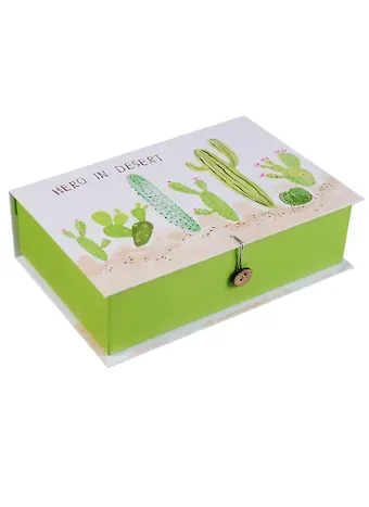 Шкатулка-книга с пуговицей картон M Кактус (20х13,5х6см) (12-Kairui-BB2017-008)