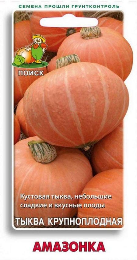 Семена Тыква Поиск Амазонка, 10 шт машинки мокас наклей и раскрась оранжевая