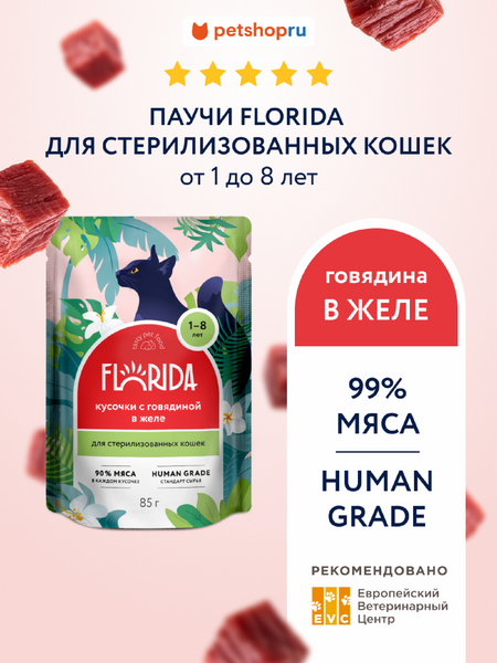 Холистики FLORIDA паучи Для стерилизованных кошек: кусочки с говядиной в желе, 1 шт. Влажный корм (85 г)