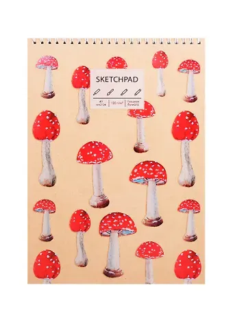 Скетчбук А4 40л 