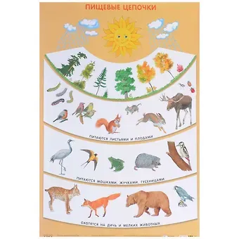 Пищевые цепочки 50 x 69