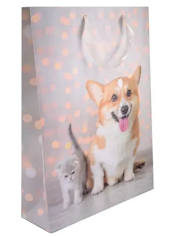 Пакет А3 45*32*10 