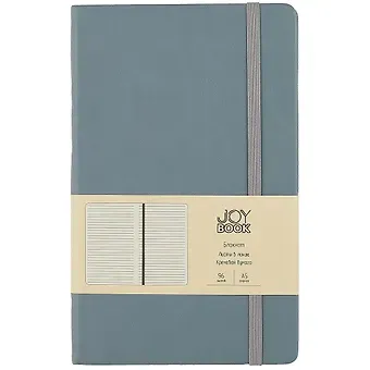 Книга для записей А5 96л лин. 