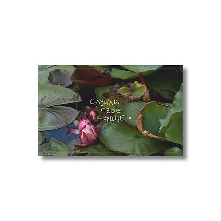 Набор наклеек ОПРОКИНУТЫЙ ЛЕС Стикер на карту 'слушай своё сердце' матовый стикер экскаватор для hitachi zax200 210 240 250 270 330 350 360 3 3g