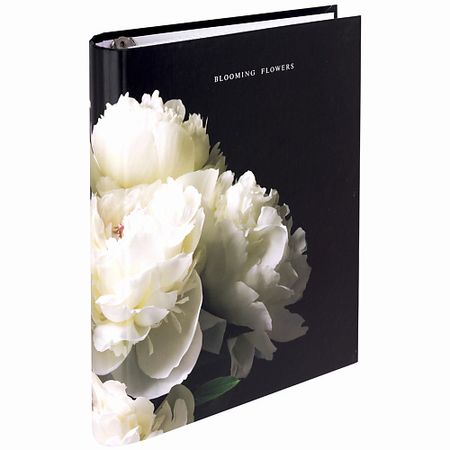 Тетрадь BRAUBERG Тетрадь на кольцах 120 листов Пион прозрачные липкие заметки moonbiffy 200 листов