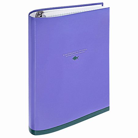 Тетрадь BRAUBERG Тетрадь на кольцах 120 листов Моноцвет прозрачные липкие заметки moonbiffy 200 листов