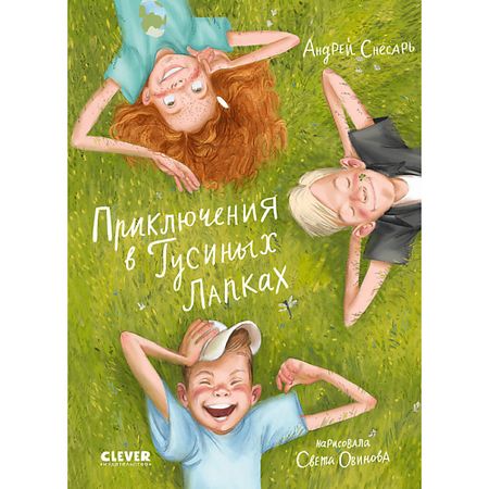 Книга Сlever CLEVER Деревенские приключения. Приключения в Гусиных Лапках приключения кота детектива секрет еловых писем шойнеманн ф