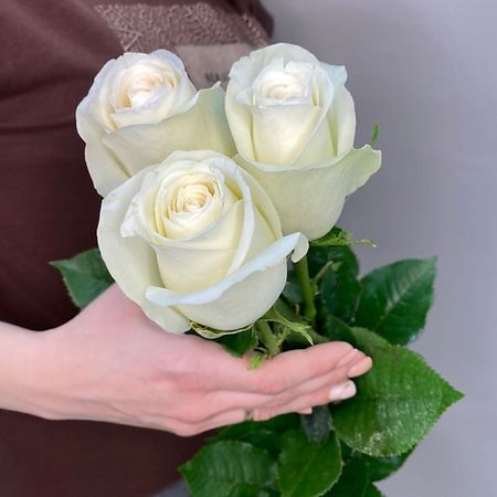 Букет живых цветов ЦВЕТЫ ДЛЯ ВАС Букет из 3 белых роз (Эквадор) 60 см