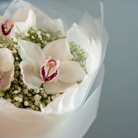 Букет живых цветов ЦВЕТНИК ЦВЕТЫ И ПОДАРКИ Букет с орхидеей и гипсофилой в формлении