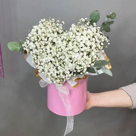 Букет живых цветов GLOW FLOWERS Гипсафила в коробочке, нежное облако скотч для декорирования sky city серии облако
