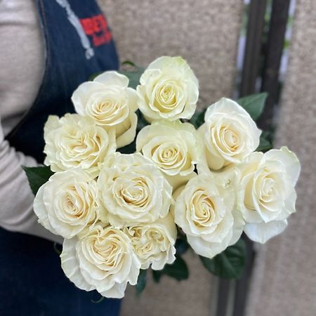 Букет живых цветов ЦВЕТЫ ДЛЯ ВАС Роза белая 11 шт фото обои для пола beibehang красная роза белая роза лепесток пвх самоклеящиеся водостойкие