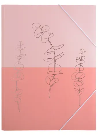 Папка на резинке А4 