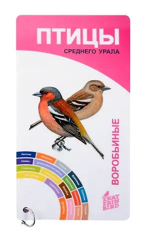 Вадим Константинович Рябицев Птицы Среднего Урала. Воробьиные и неворобьиные.