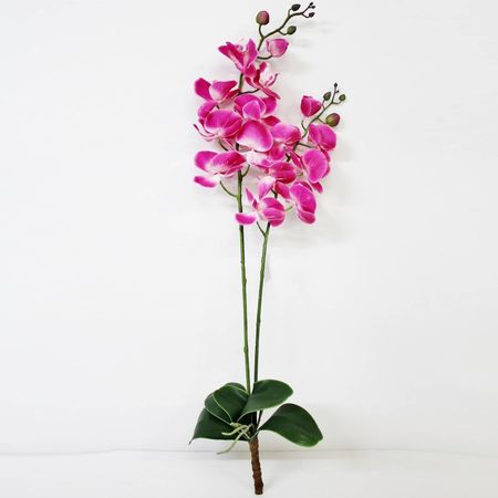 Орхидея фаленопсис с листьями Конэко-О KR_820 90 см фиона ламберс призрачная орхидея