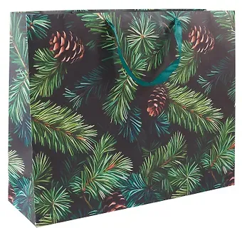 Пакет А3+ 50*40*15 