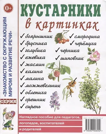 Кустарники в картинках. Наглядное пособие для педагогов, логопедов, воспитателей и родителей