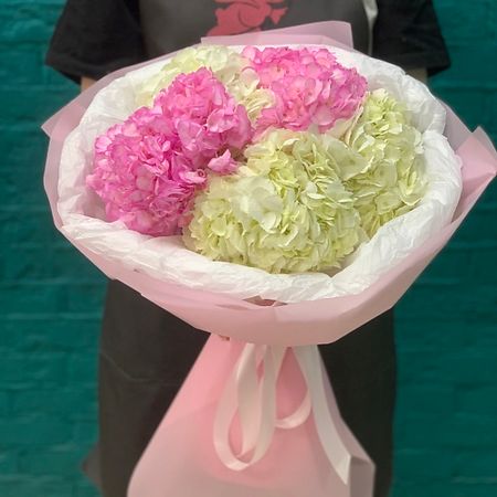 Букет живых цветов ЦВЕТЫ МИШКИ Букет из 5 бело-розовых гортензий искусственный букет гортензий из шелка