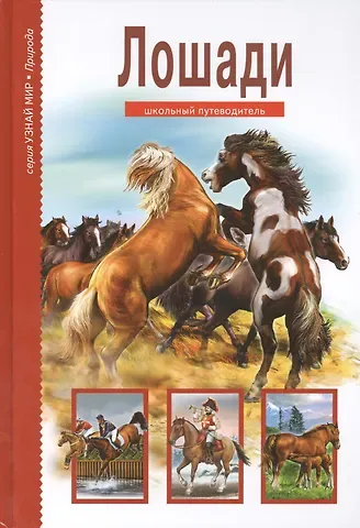 Сергей Юрьевич Афонькин Лошади