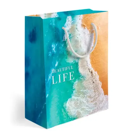 Пакет подарочный Симфония Лазурный берег 22x20x14 см цвет голубой дарья конопатова lloyd космическая симфония