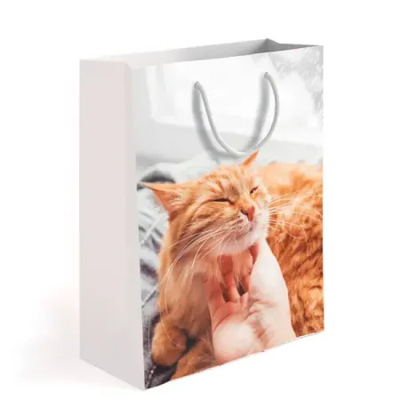 Пакет подарочный Симфония Домашний уют 32x26x12 см цвет белый дарья конопатова lloyd космическая симфония