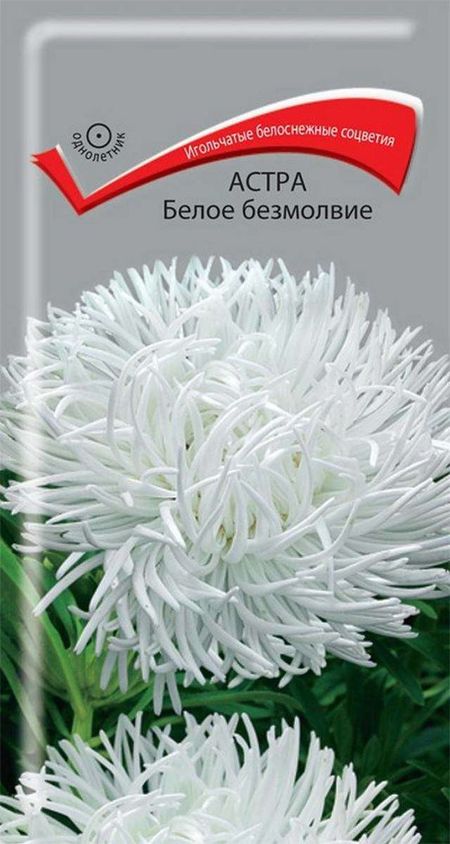 Семена Астра Поиск Белое безмолвие, 0.3 г