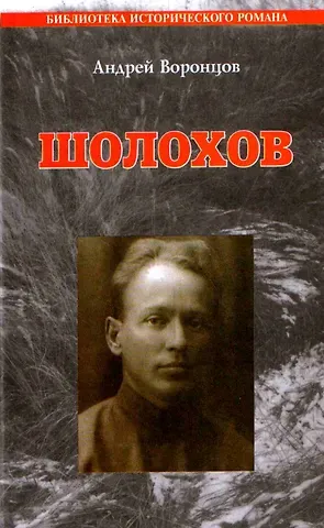 Андрей Венедиктович Воронцов Шолохов: Роман.
