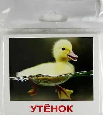 Т.К. Носова Домашние животные и детёныши. Комплект мини-карточек