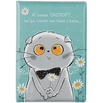 Обложка для паспорта Басик И зачем паспорт (ПВХ бокс) (12-999-27-547)