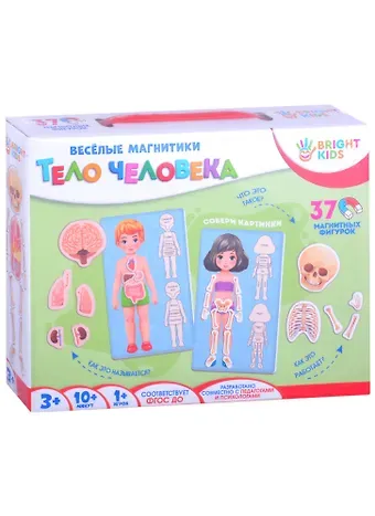 Настольная игра Весёлые магнитики. ТЕЛО ЧЕЛОВЕКА