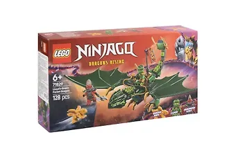 LEGO NINJAGO: Зелёный лесной дракон Ллойда, 128 деталей (71829)