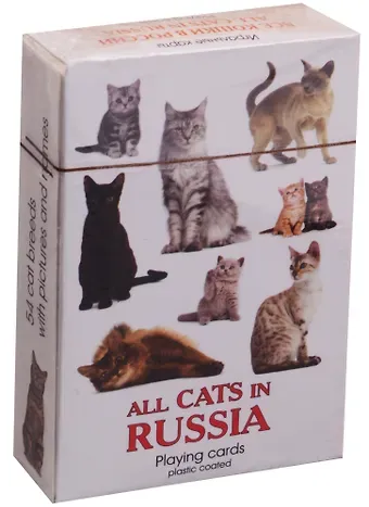 Карты сувенирные Все кошки в России (900-07W-CAT)
