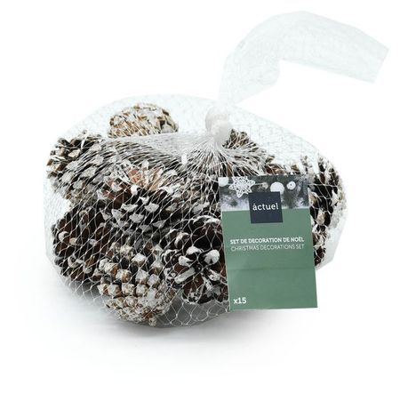 Набор натуральных шишек Actuel Снежная королева 3 см, 15 шт ганс христиан андерсен снежная королева
